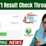 BISP 8171 Result Check Through CNIC Sitting At Home 2026 Full Step-by-Step Guide